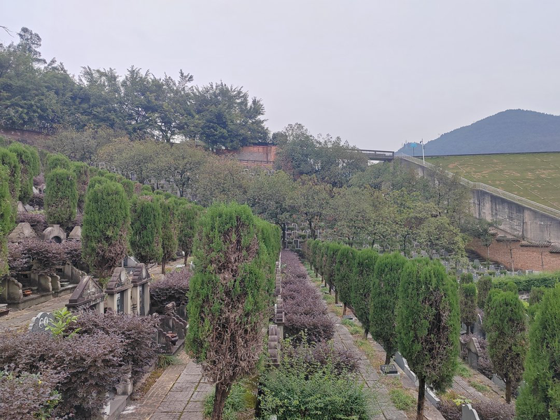 精神寄托和心灵的慰藉