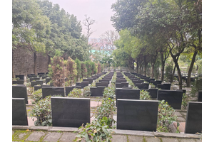 探秘大宝山公墓