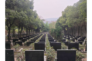 重庆的墓地，历史与现代的交织