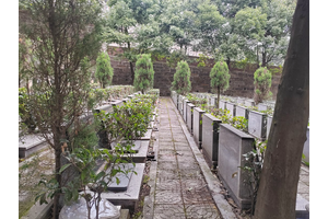 大渡口公墓，一座承载着历史与情感的静谧之所