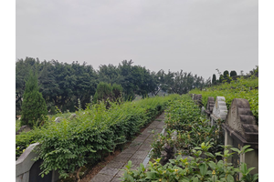 大宝山公墓价格一览